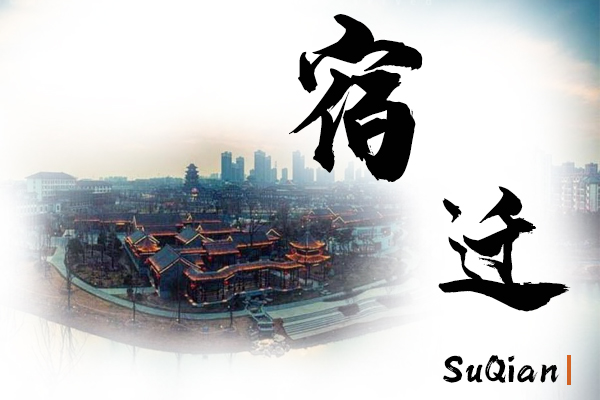 宿迁小汽车托运物流公司哪家好