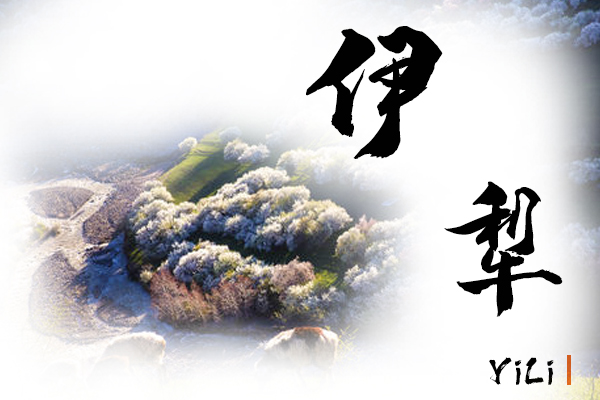 伊犁小汽车托运价格及收费标准