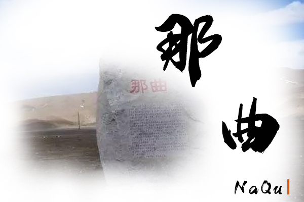 那曲小汽车托运物流公司哪家好