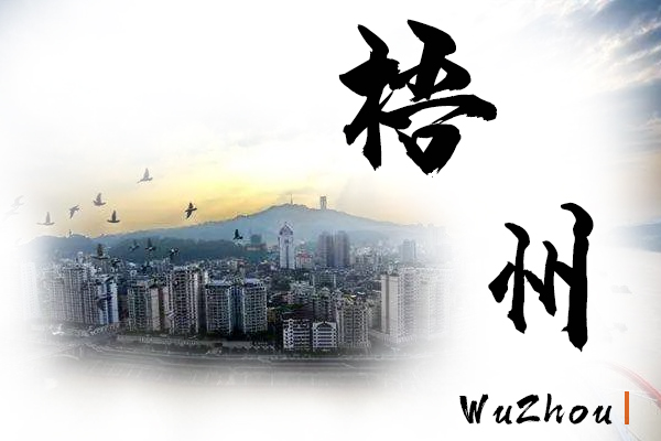 梧州小汽车托运价格及收费标准