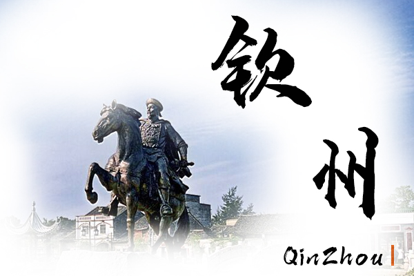 钦州小汽车托运物流公司哪家好