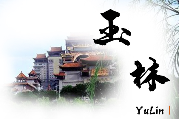 玉林小汽车托运物流公司哪家好
