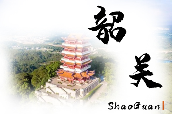韶关小汽车托运物流公司哪家好