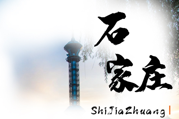 石家庄小汽车托运物流公司哪家好