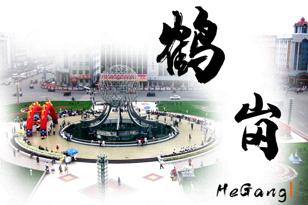 鹤岗小汽车托运物流公司哪家好