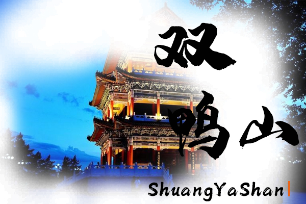 双鸭山小汽车托运物流公司哪家好