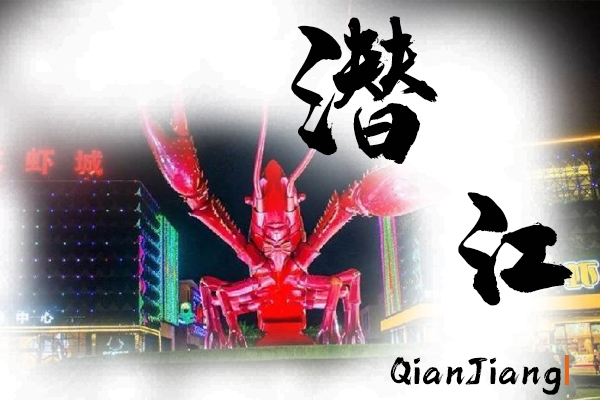 潜江小汽车托运物流公司哪家好