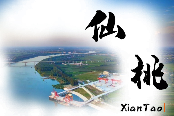 仙桃小汽车托运物流公司哪家好