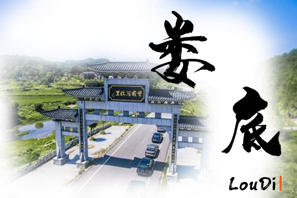 娄底小汽车托运物流公司哪家好