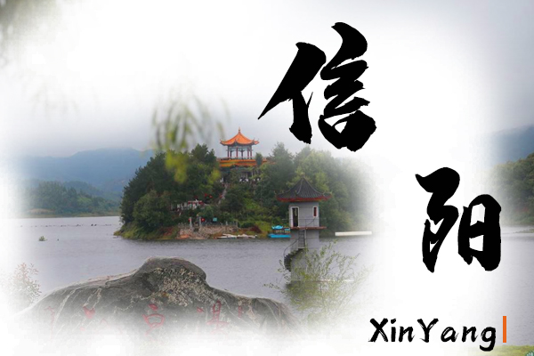 信阳小汽车托运物流公司哪家好