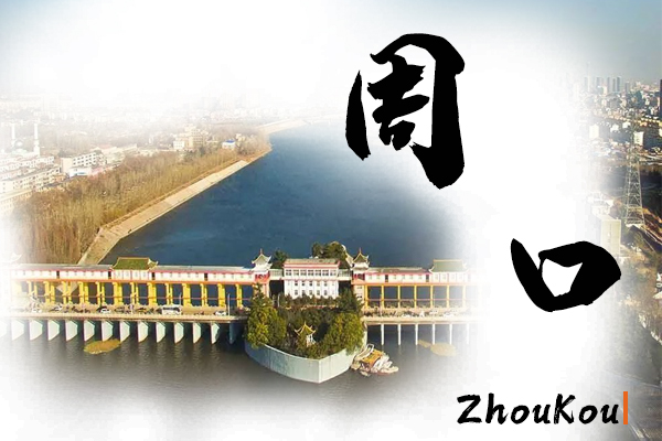 周口小汽车托运物流公司哪家好