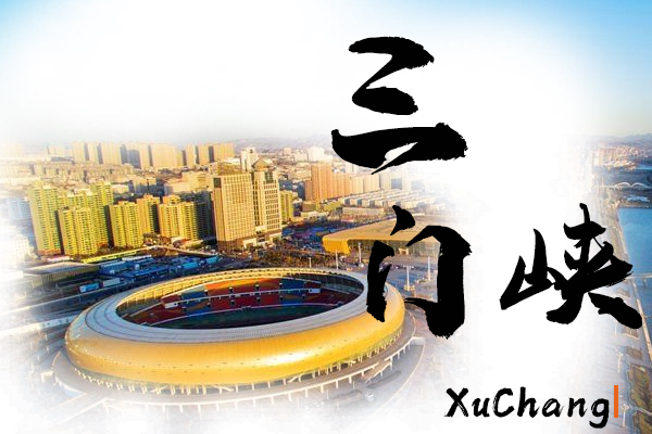 三门峡小汽车托运物流公司哪家好