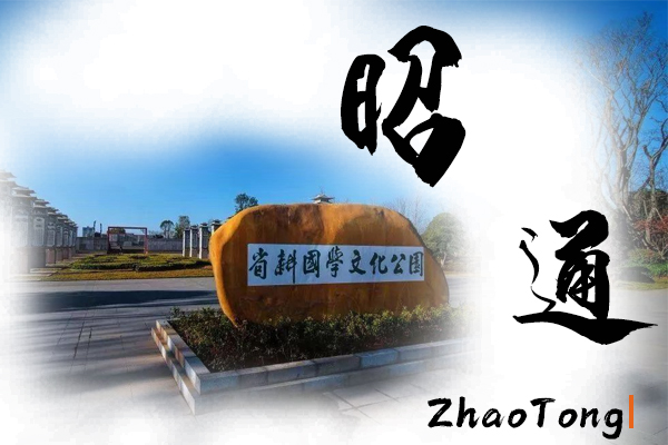 昭通小汽车托运物流公司哪家好